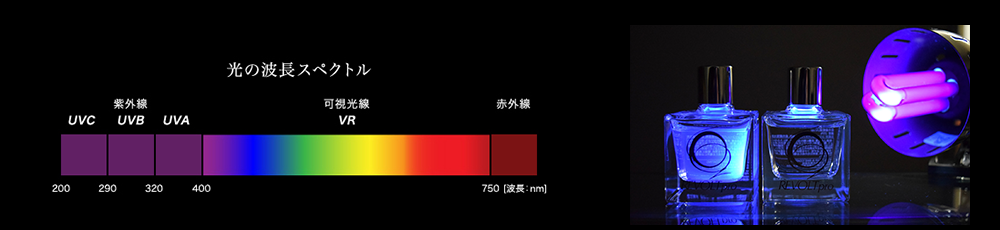 光の波長スペクトル